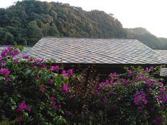 -高荡千年布依古寨旅游景区