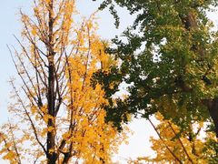 -两江幸福广场