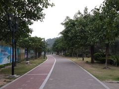 景点-野狸岛