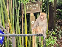 -黔灵山公园