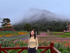 -广州市石门国家森林公园