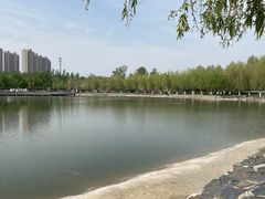 -五环公园