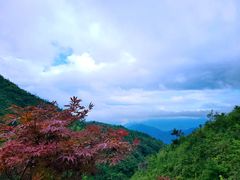 -军营村