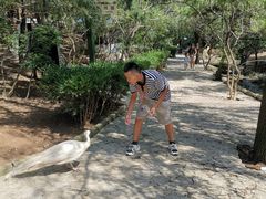 -燕塞湖鸟语林景区