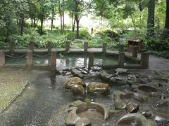 -成都市活水公园