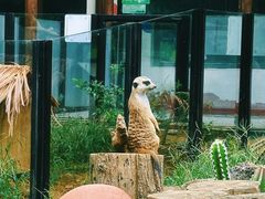 -大连森林动物园