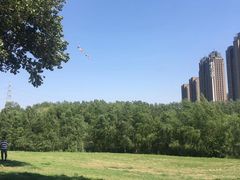 -长白岛森林公园