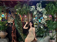 -雀舞云南菜(天津天河城购物中心店)