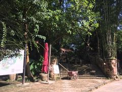 -老木棉·匠园