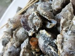-大众海鲜加工大排档(金海湾大道店)