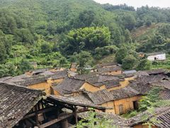-杨家堂村