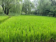 -北坞公园