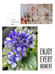 -Beauty Nails 美甲美睫皮肤管理