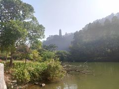 -南沙蒲洲花园