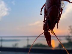-新食谱全日制餐厅·苏州苏州湾艾美酒店