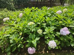 -昆山城市公园