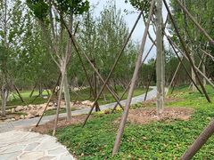 -回龙观体育文化公园