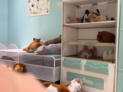 -奈尔宝家庭中心·亲子餐厅(苏州大悦城店)