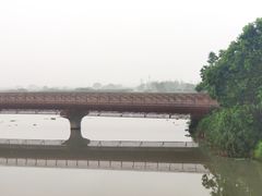 -三垟湿地