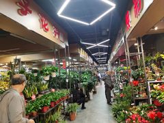 -大自然花鸟鱼虫市场