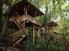 -天门沟九州驿站树上汤泉