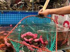 -辣螃铠盆盆蟹大排档(总店)