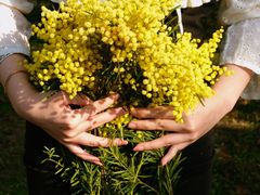 -厦门国家会计学院