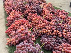 -团泊镇示范集贸市场