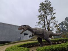 -柳州白莲洞洞穴科学博物馆