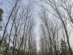 -宜兴龙背山森林公园