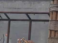 -祥源·阜阳生态乐园