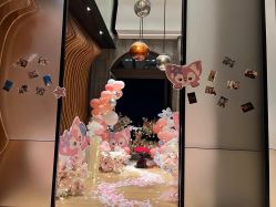 -迈瑞米求婚策划(静安店)
