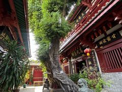 -叩齿古寺