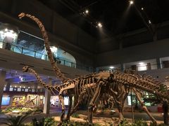 -自贡恐龙博物馆