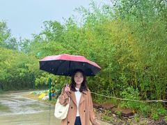 -竹泉村旅游度假区