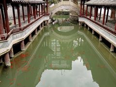 -龙潭水乡