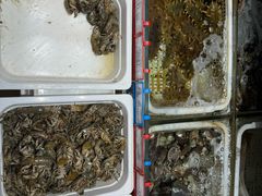 -锦顺海鲜•口味菜(李村店)