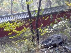 -阳台山自然风景区