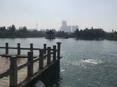 -百泉景区