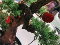 -陶苏·品味融合川菜(龙湖源著天街店)