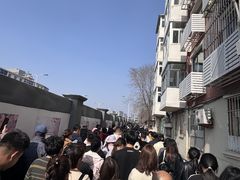 -桃花堤公园