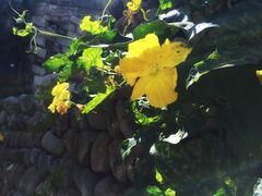 -前童古镇