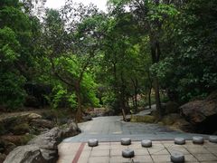 -南海湾森林生态园