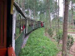 -合肥滨湖国家森林公园