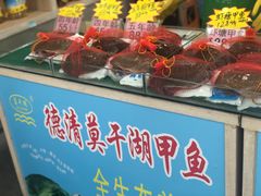 -德清诚信农产品莫干湖甲鱼直销店