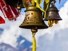 -泉儿头杂碎·清真(城东总店)