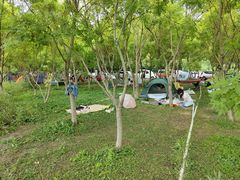 -正顺饸饹馆(中土商务楼店)