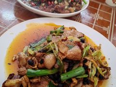 -铁山坪森林公园