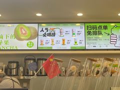 -雾与山茶(大禹城店)