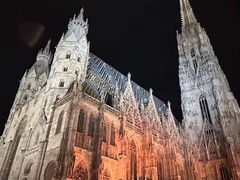 -斯蒂芬主教座堂(Stephansdom)